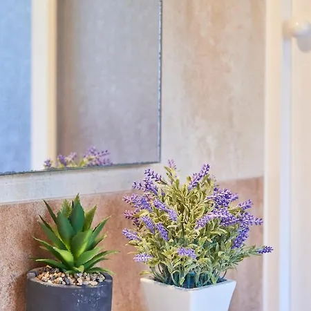 Renovated And Spacious Duplex With Patio, By Timecooler *