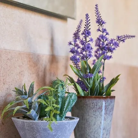 Renovated And Spacious Duplex With Patio, By Timecooler Apartman Lisboa